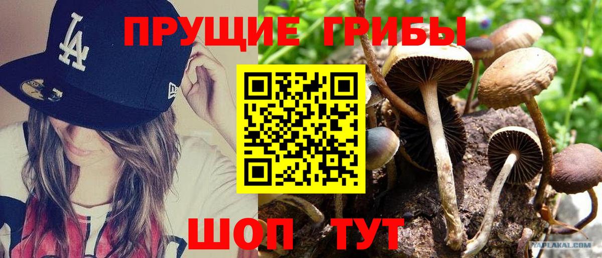 Галлюциногенные грибы мухоморы  Вход с VPN  Псилоцибиновые грибы ЛСД  Дербент 